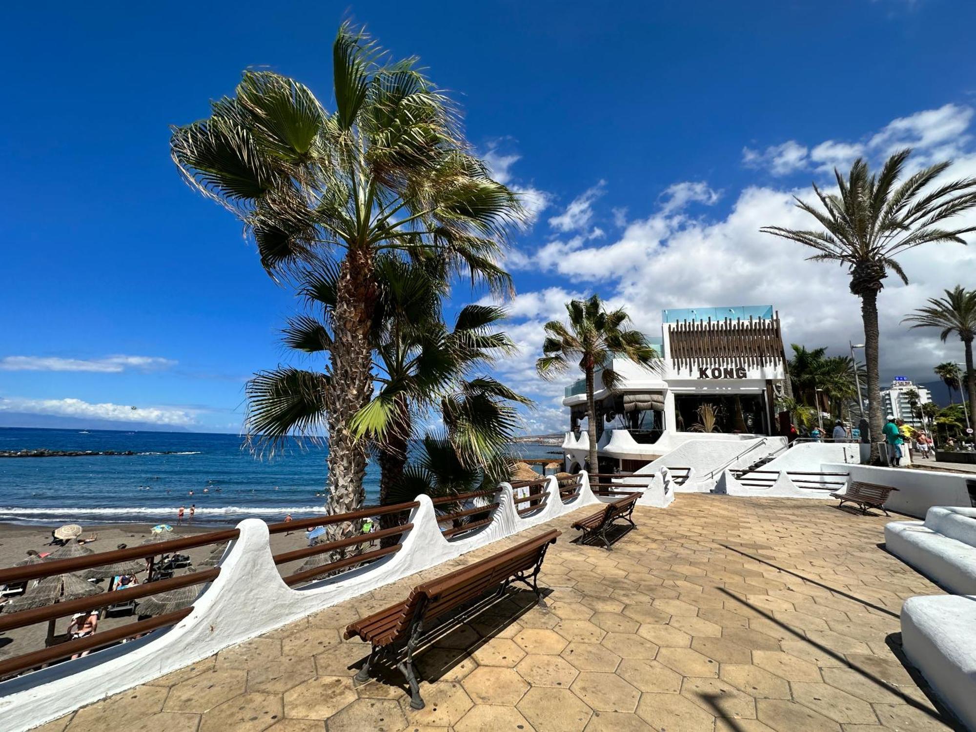 Appartement Torres De Yomely - Y1G à Playa de las Américas Extérieur photo